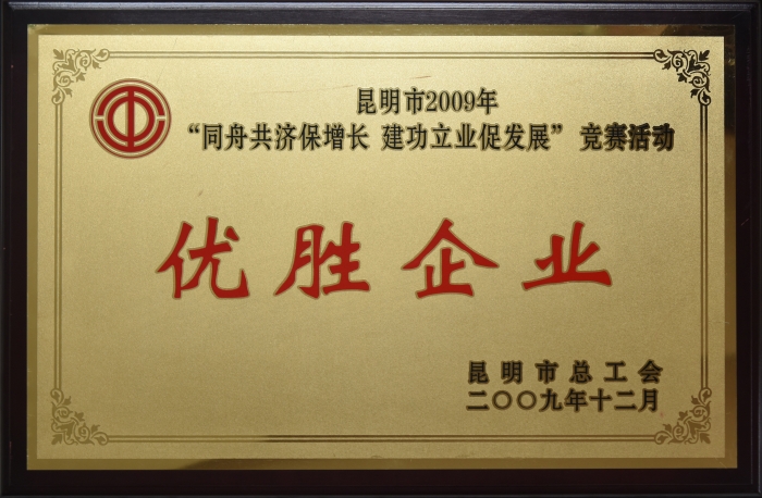 昆明市2009年 同舟共濟保增長 建功立業(yè)促發(fā)展 優(yōu)勝企業(yè)
