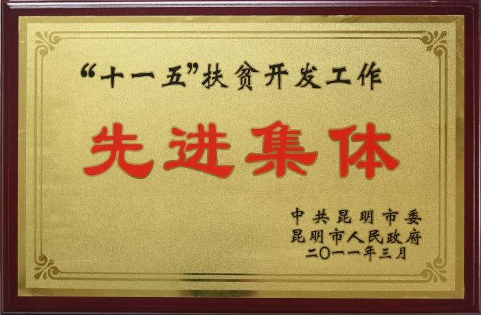 十一五扶貧開發(fā)先進集體