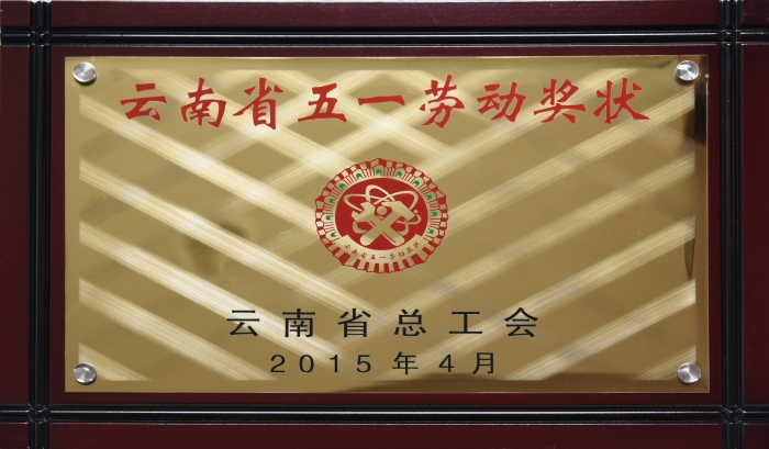 云南省五一勞動獎狀—獎牌