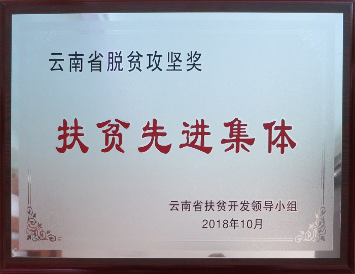 2018年扶貧先進集體